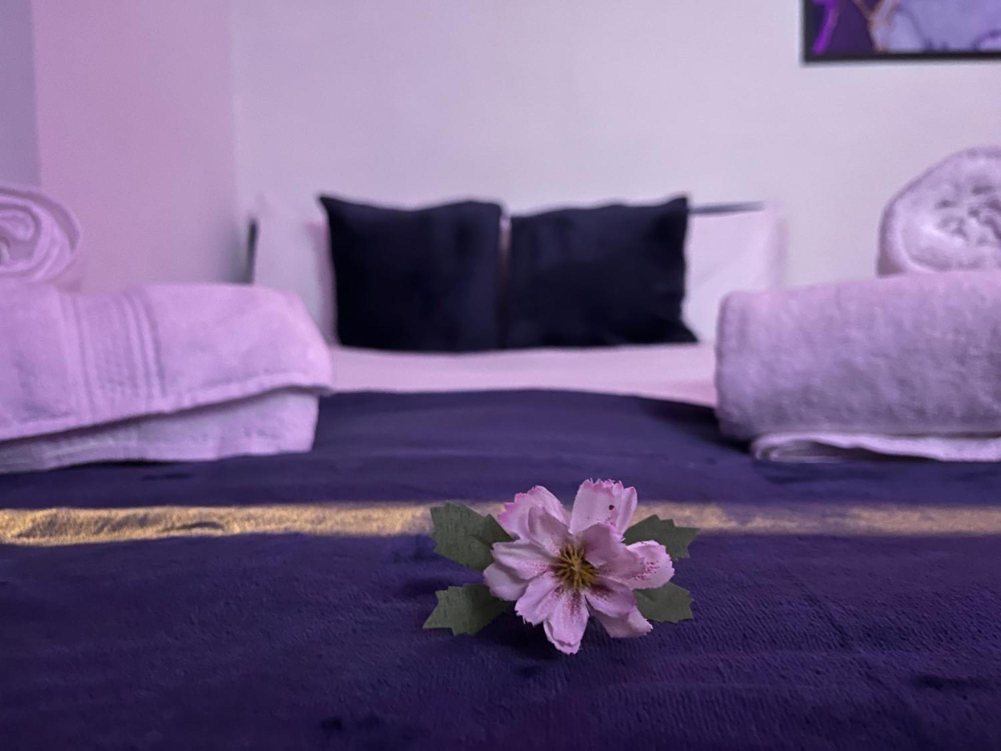 Apartment In Camden, Central Location Londres Extérieur photo